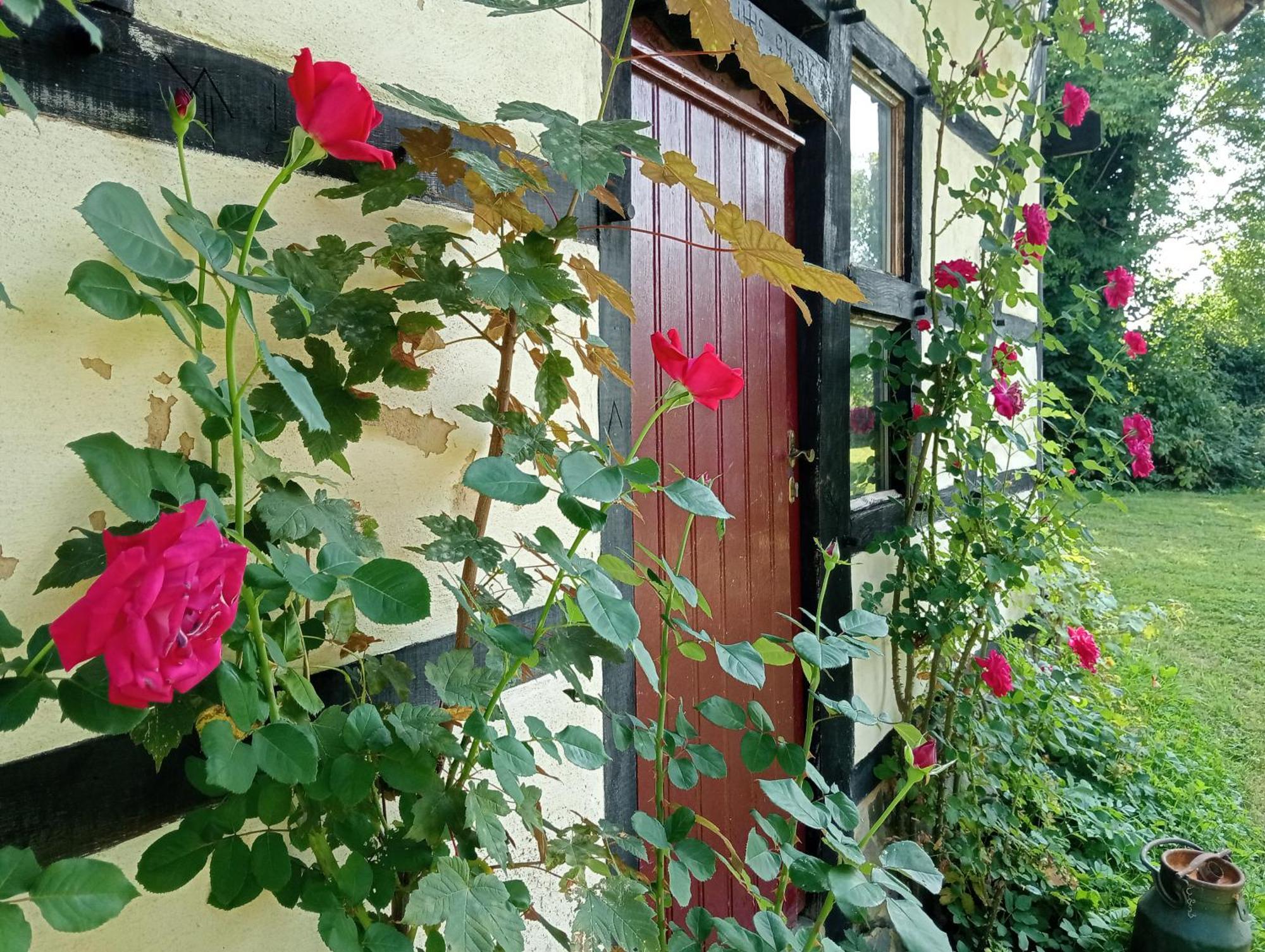 Bnb Het Geluk Van Limburg Mechelen Exterior photo
